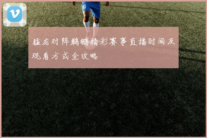 猛龙对阵鹈鹕精彩赛事直播时间及观看方式全攻略
