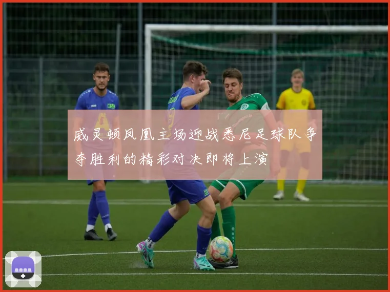 威灵顿凤凰主场迎战悉尼足球队争夺胜利的精彩对决即将上演